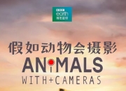 2018年英国纪录片《假如动物会摄影》全3集