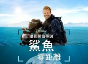 2025年美国纪录片《摄影师贝尔蒂与鲨鱼零距离》1080P中字