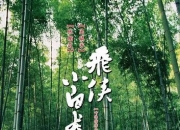 2004年张柏芝,吴镇宇动作喜剧《飞侠小白龙》1080P中字