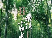 2004年张柏芝,吴镇宇动作喜剧《飞侠小白龙》1080P中字