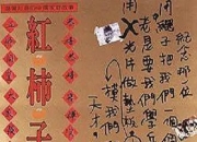 1997年陶述,石隽8.9分家庭片《红柿子》蓝光国语中字