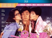 1987年陈友,梅艳芳6.5分喜剧片《一屋两妻》1080P国粤双语