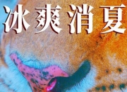 2025年刘牧,钱洁剧情片《寒冰白血》1080P国语中字